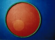 Composition # 8 Fertility series. Acrylic on canvas and board, and steel. 24" x 36". 1980.