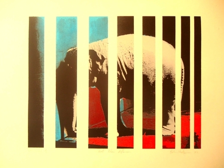 young elephant in his prison