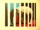 young elephant in his prison
