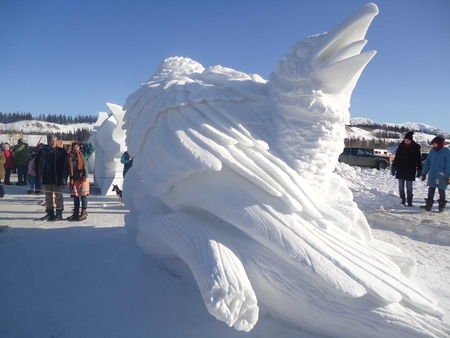 "Ravens". Whitehorse int. 2012
