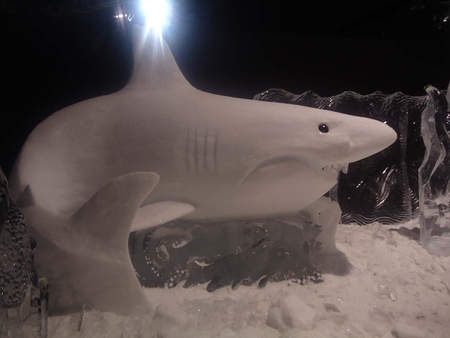 "Great White" Zwolle 2012.