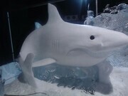 "Great White" snow. Zwolle Netherlands 2011