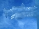 "Gargoyle on Tower". Ice FSJ 2012.