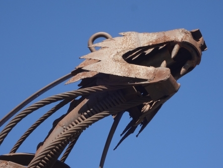 Junk Yard Bear. Detail.