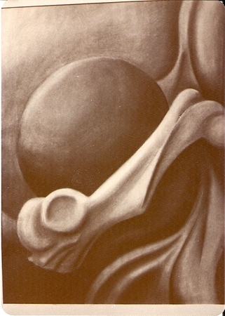Study in charcoal 18 x 24