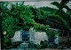 cottage in Jalapa Mexico. Acrylic on board. 2000