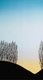 Winter sunset. Serigraph print. 22" x 30". 1980.