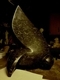 Owl Flying Black marble. H 50 cm.  Price.$ 3,500