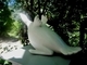 ;Taking off; White marble. h. 25 cm.