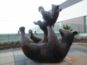 "Bear Suite #1, Cinnamon Bears". Fabricated Bronze, 1.5 M., 2017. Vancouver Children's Hospital.
