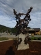"Blowin in the wind" Forged Bronze,Granite. 2016. Revelstoke B.C.