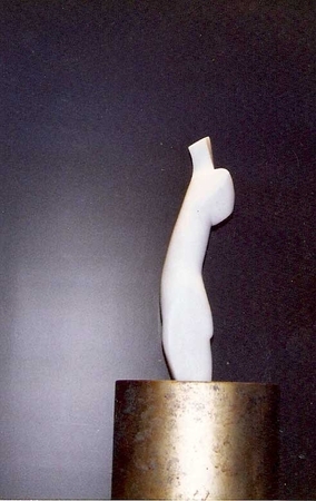 torso