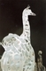 Giraffe with Monkey...Oviedo Spain  2007   Ice