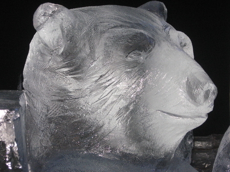 Knut the Bear Berlin 2009