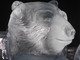 Knut the Bear Berlin 2009