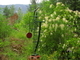 Pan.  Welded Steel, Stained Glass. h. 3 M.