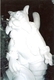 Puss-n-Boots. Snow.  Oberhausen Germany