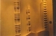 Re-fine-d Art  (my title) Alberta Gas Ethylene.  Calgary Office. multi-media Hallway wall.