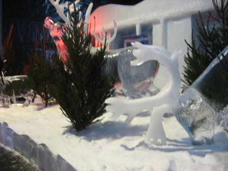 Reindeer Madrid 2008
