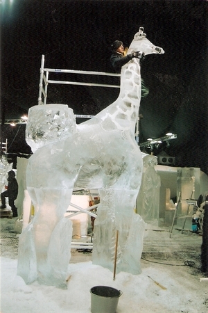 working on Giraffe in Oviedo Spain
